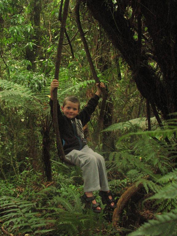 Catlins Newhaven Holiday Park Owaka Bilik gambar