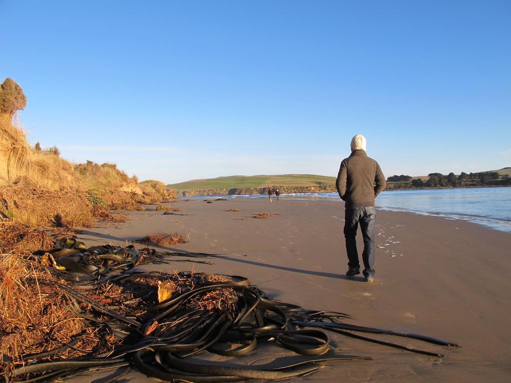 Catlins Newhaven Holiday Park Owaka Bilik gambar