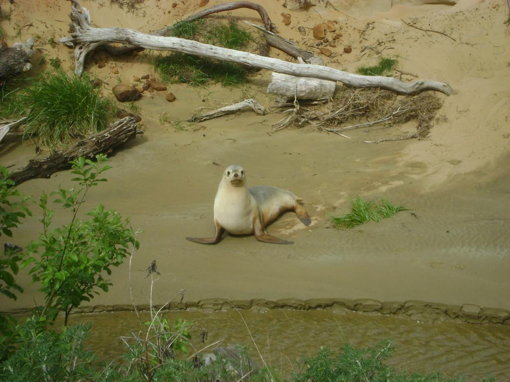 Catlins Newhaven Holiday Park Owaka Luaran gambar