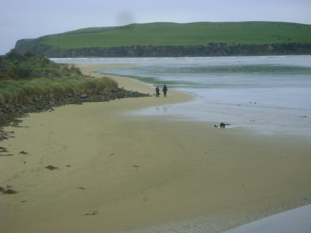Catlins Newhaven Holiday Park Owaka Luaran gambar