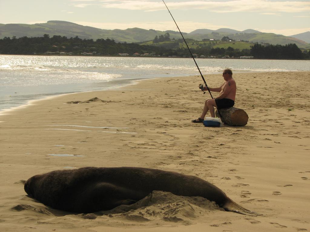 Catlins Newhaven Holiday Park Owaka Luaran gambar