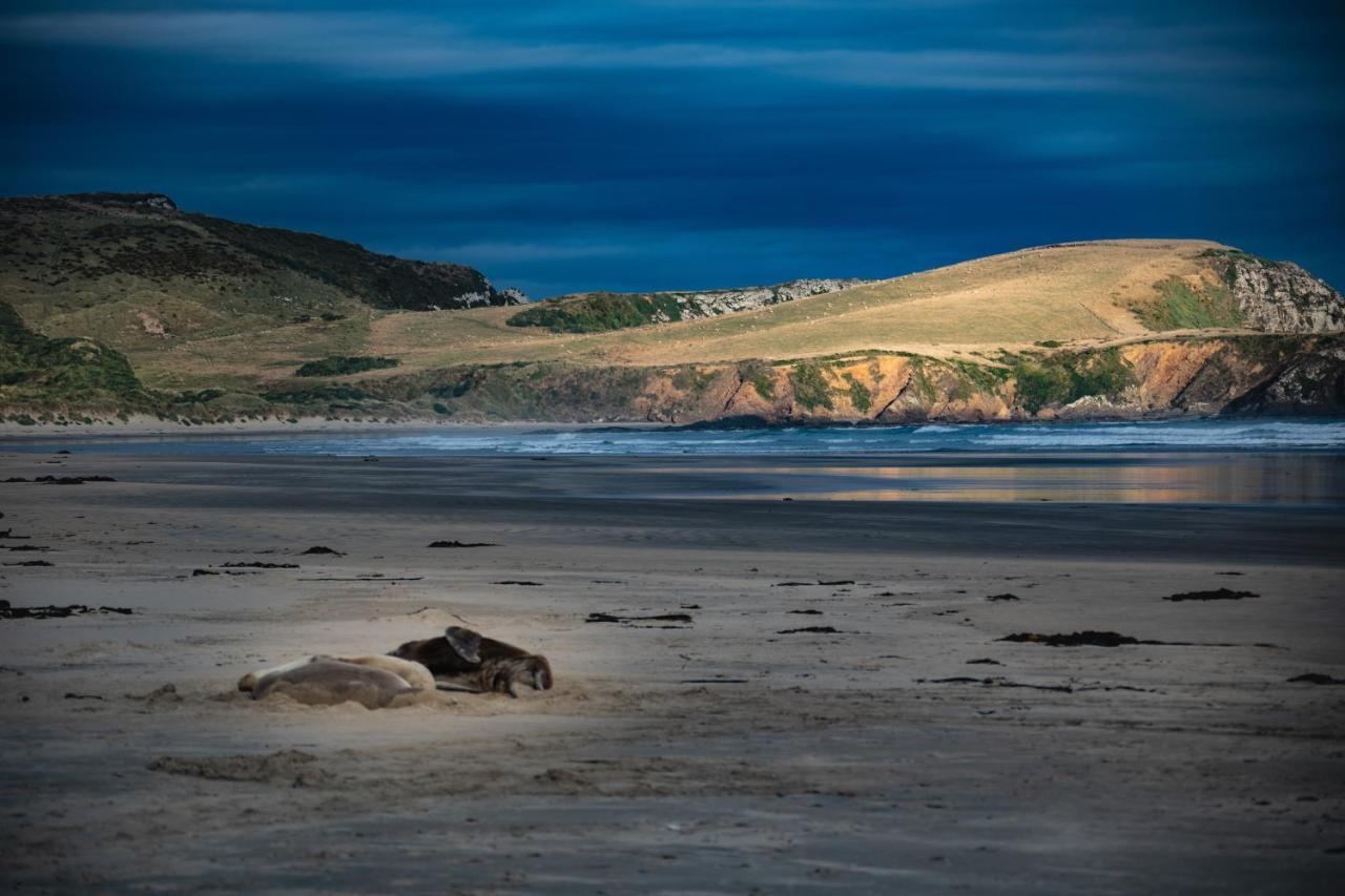 Catlins Newhaven Holiday Park Owaka Luaran gambar